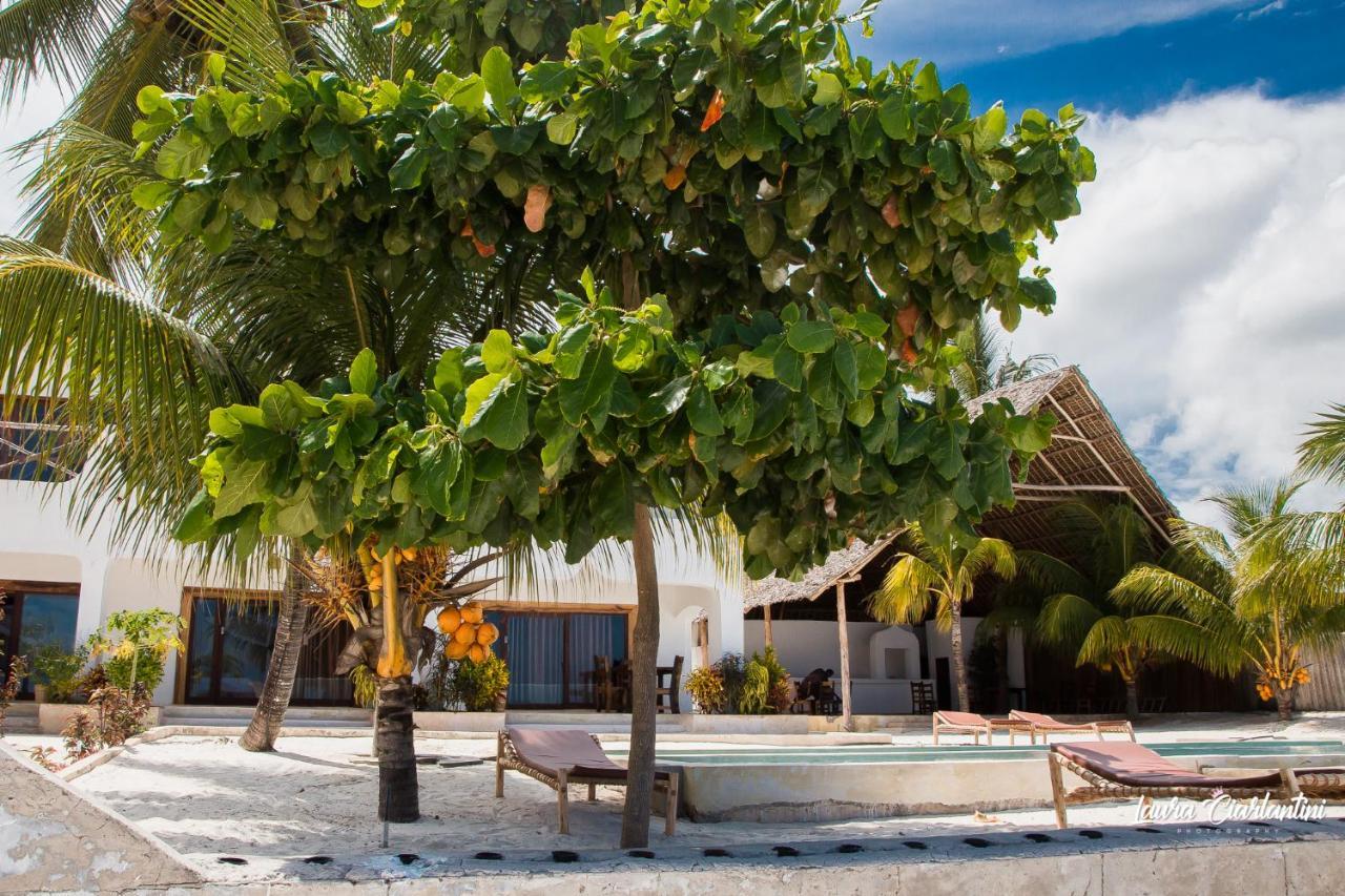 Uroa Zanzibar Vera Beach Hotel By Moonshine Dikoni Exteriör bild