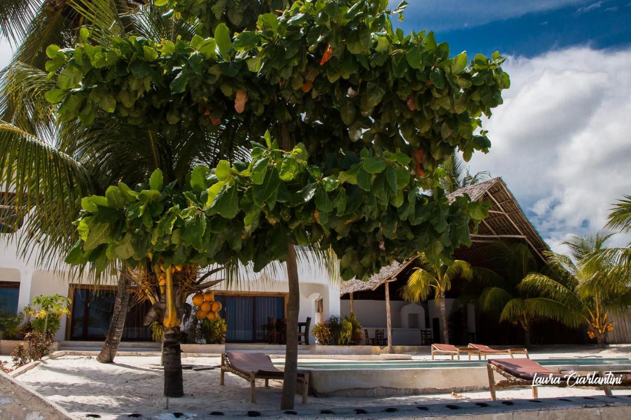 Uroa Zanzibar Vera Beach Hotel By Moonshine Dikoni Exteriör bild